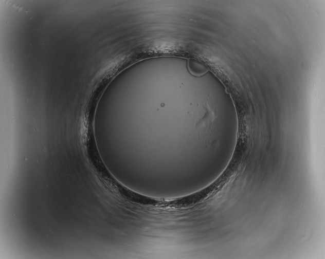 X0000094060640200710191102