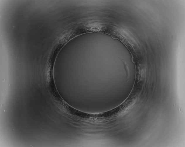 X0000094060641200710191102