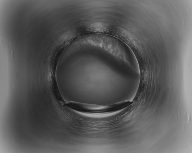 X0000094060643200710191102