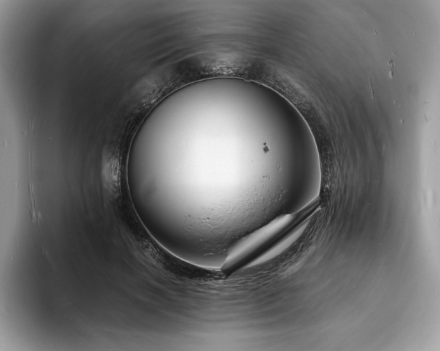 X0000094060646200710191102
