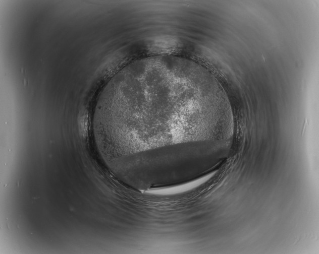 X0000094060647200710191102
