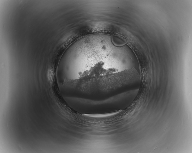 X0000094060648200710191102