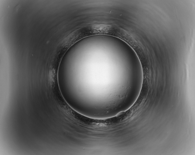 X0000094060649200710191102
