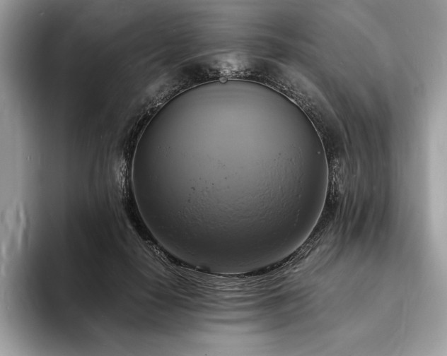 X0000094060650200710191102
