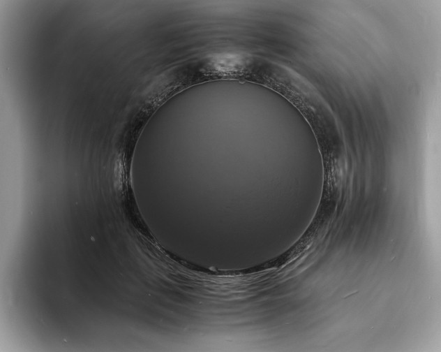 X0000094060651200710191102