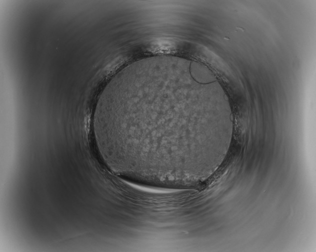 X0000094060652200710191102