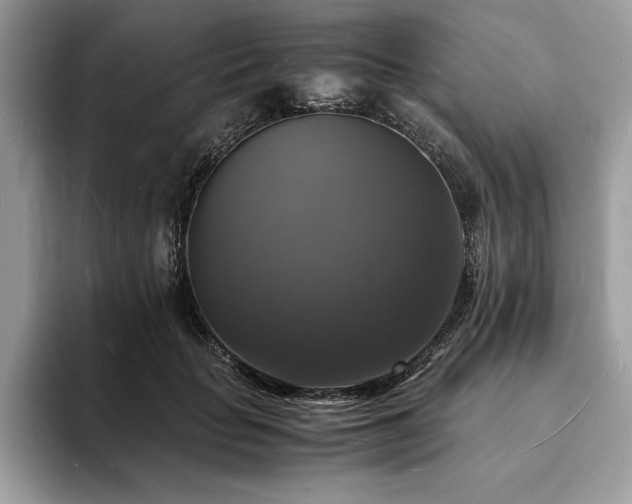 X0000094060653200710191102