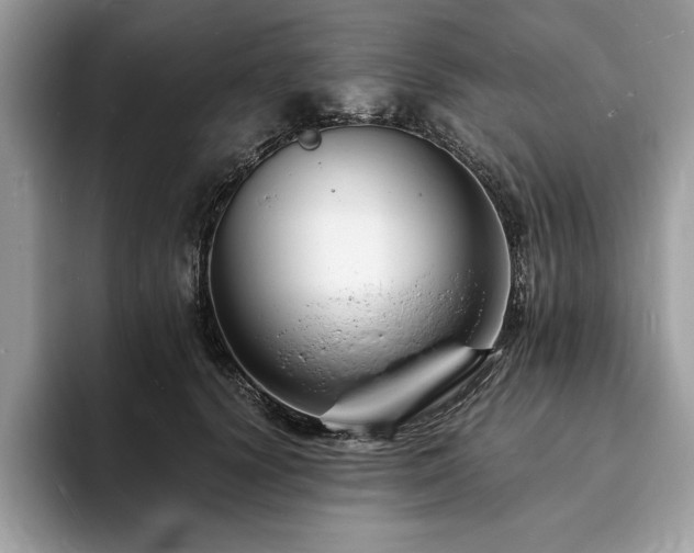 X0000094060656200710191102