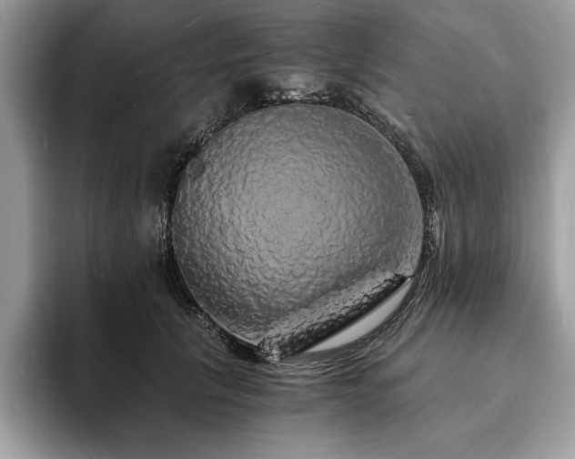 X0000094060657200710191102
