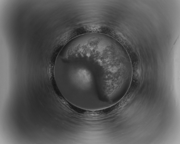 X0000094060658200710191102