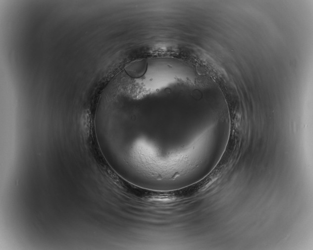 X0000094060659200710191102