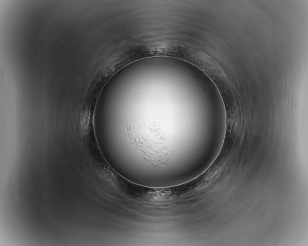 X0000094060660200710191102