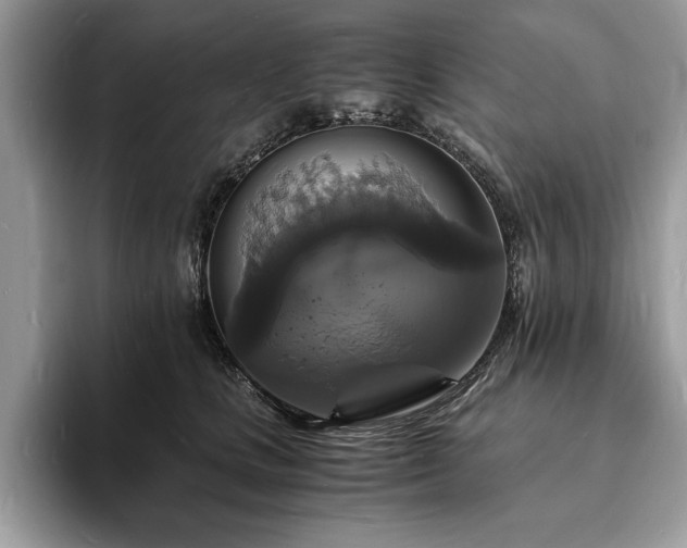 X0000094060661200710191102