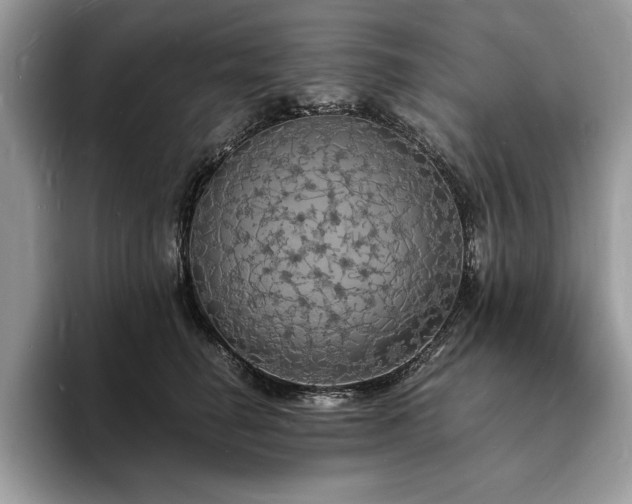 X0000094060662200710191102