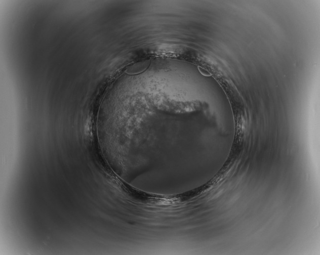 X0000094060663200710191102