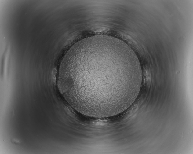X0000094060664200710191102