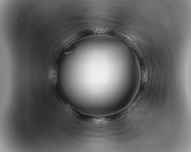 X0000094060666200710191102