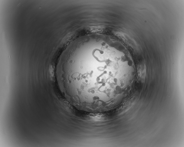 X0000094060667200710191102