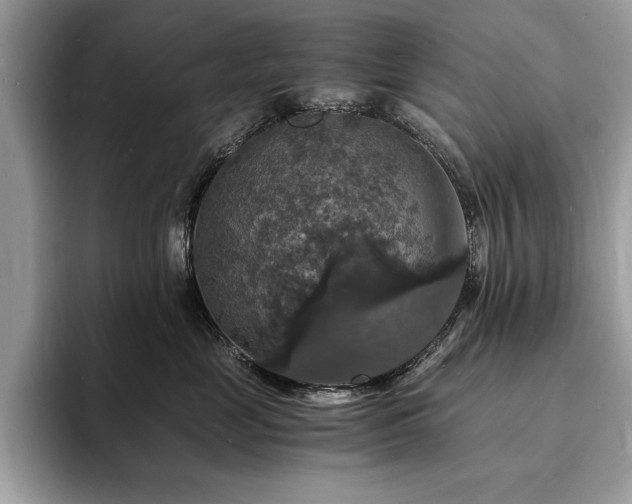 X0000094060669200710191102