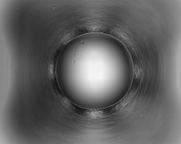 X0000094060670200710191102