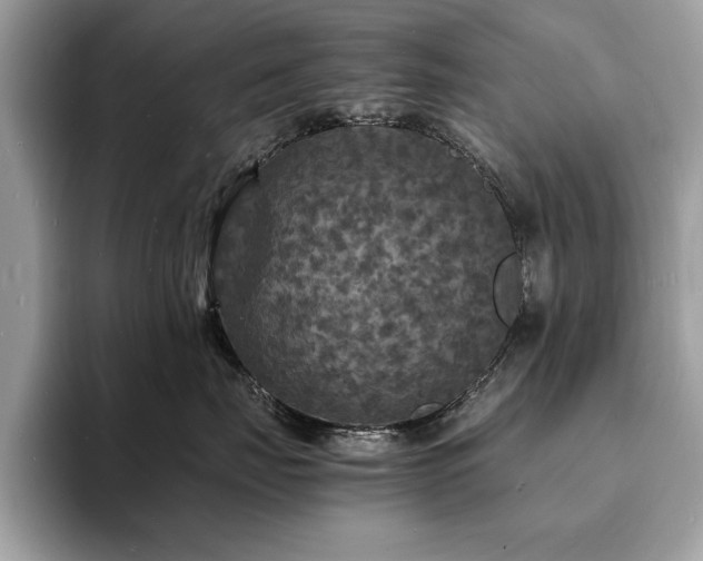 X0000094060671200710191102