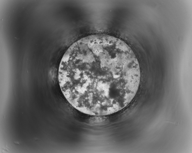 X0000094060672200710191102