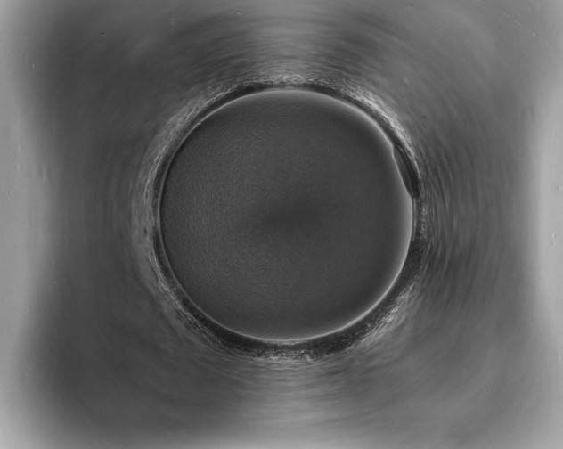 X0000094060673200710191102