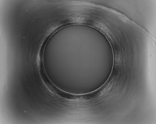 X0000094060674200710191102