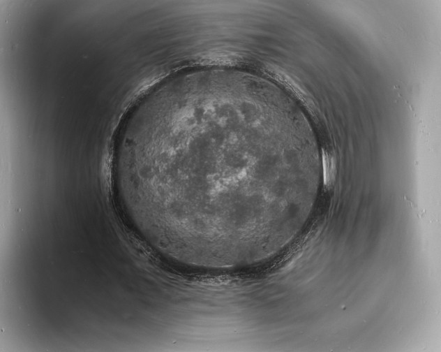 X0000094060675200710191102