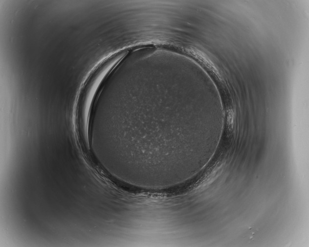 X0000094060676200710191102