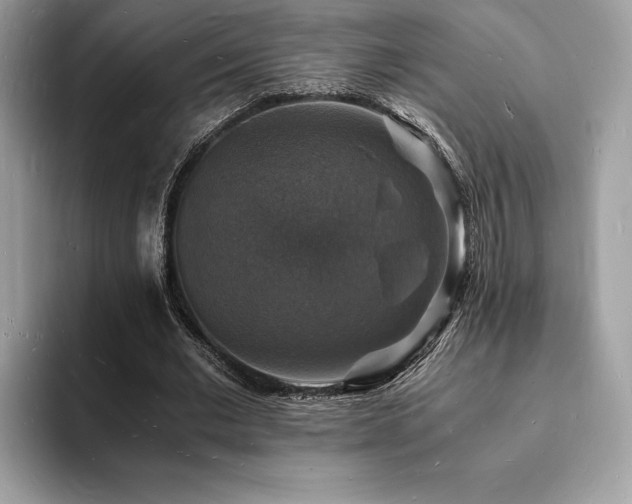 X0000094060677200710191102