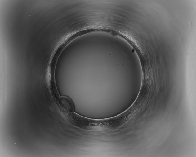 X0000094060678200710191102