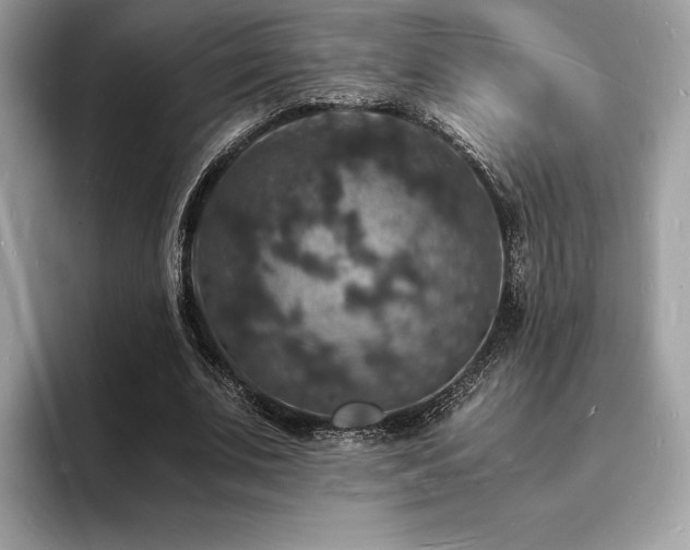 X0000094060679200710191102