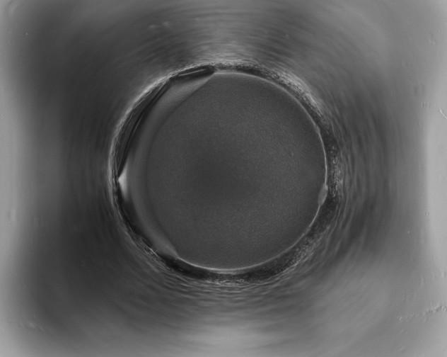 X0000094060680200710191102