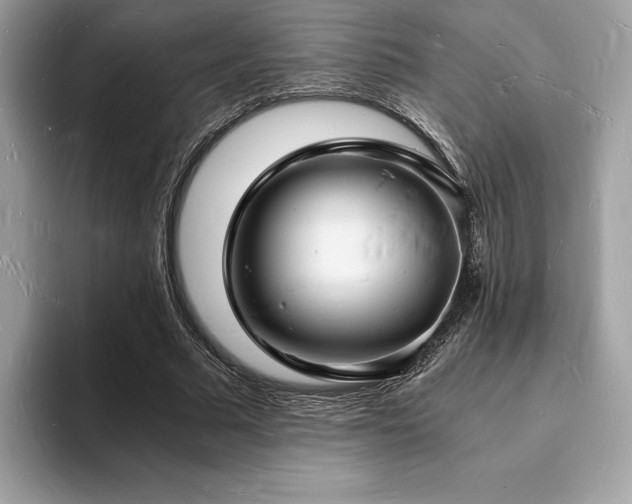 X0000094060681200710191102
