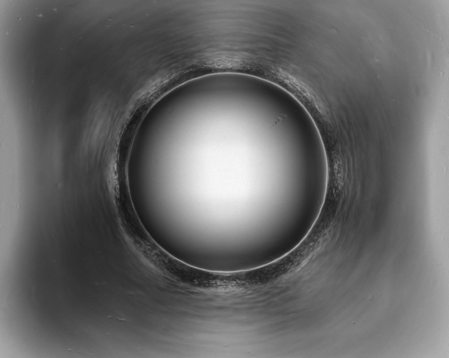 X0000094060682200710191102