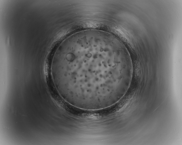X0000094060683200710191102