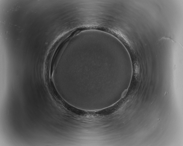 X0000094060684200710191102
