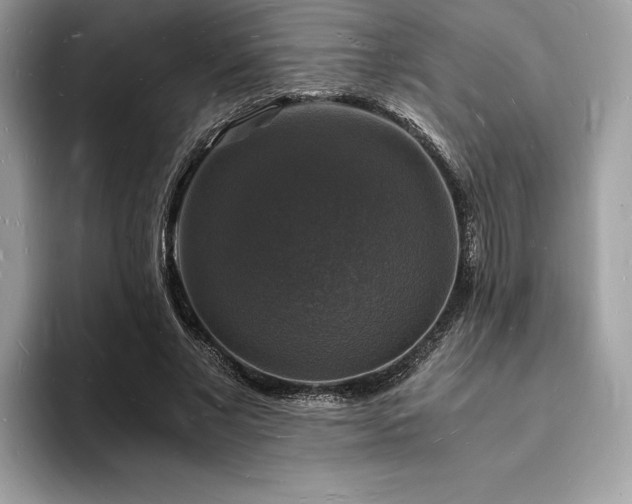 X0000094060685200710191102