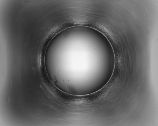 X0000094060686200710191102