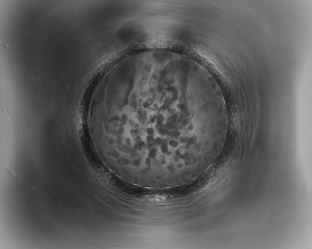 X0000094060687200710191102