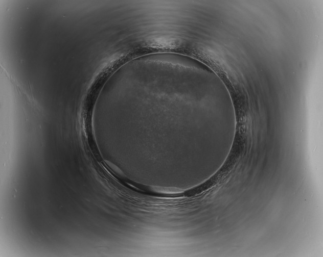 X0000094060688200710191102