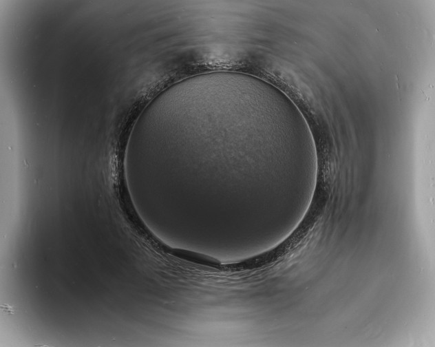 X0000094060689200710191102