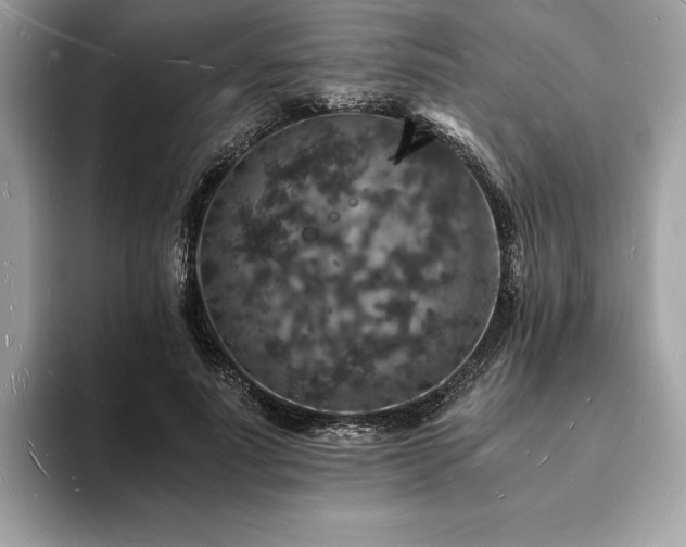 X0000094060691200710191102
