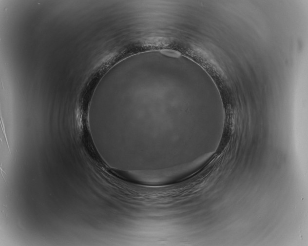 X0000094060692200710191102