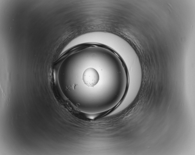X0000094060693200710191102