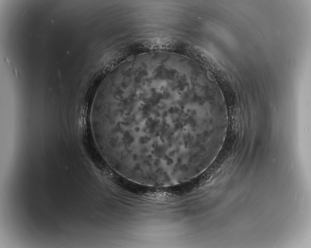 X0000094060695200710191102