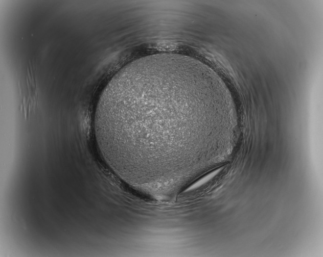 X0000094060697200710191101