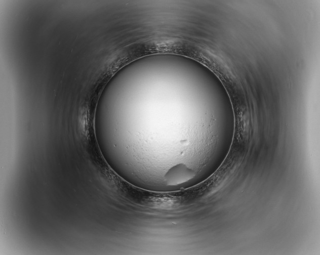 X0000094060698200710191101