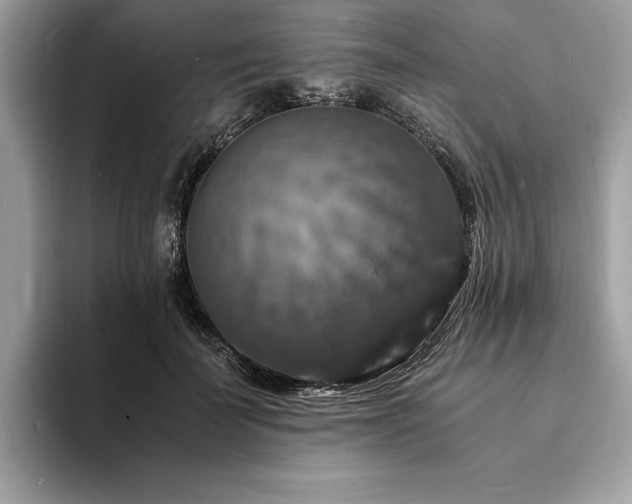 X0000094060699200710191101